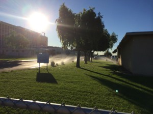 It's one extreme or the other in landscaping.