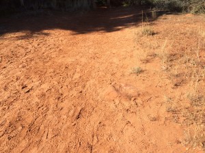 Look, Kids!  It's dirt!