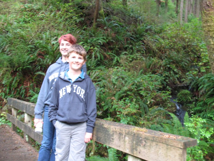 No T-Rexes stomped through the ferns in this lush forest despite my expectations.