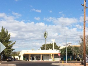 Cell tower disguised as palm tree