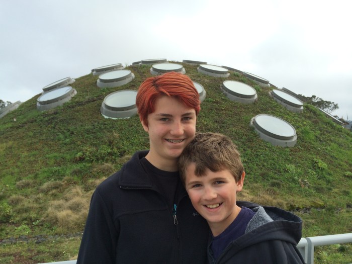 The living roof at the California Academy of Sciences