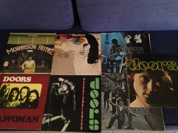 Laurel has enjoyed going through Grandma & Grandpa's extensive record collection and then actually listening to some of the records.  Laurel had never before heard a record.  Mary & Lynn said the records that Laurel liked (pictured) had all belonged to Wayne.  So they have the same musical taste!