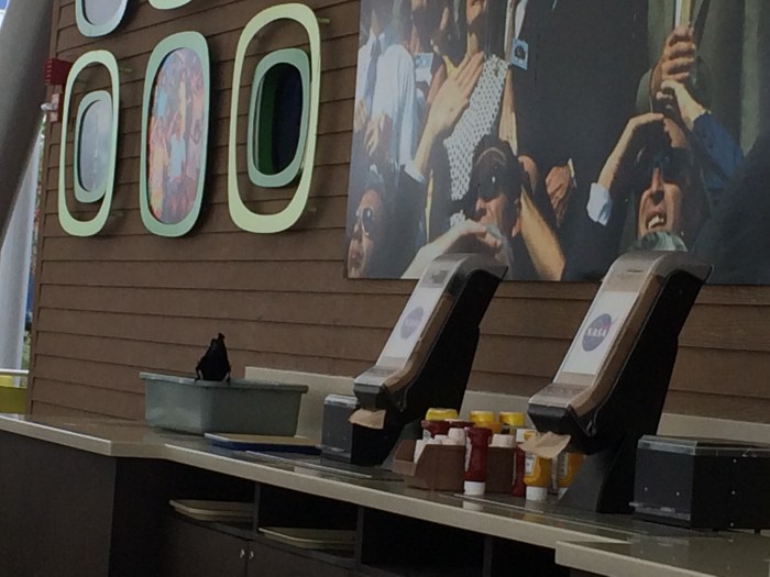 There's a crow eating from a plate in this bucket/tray.  The birds were quite aggressive at the Rocket Garden Cafe.