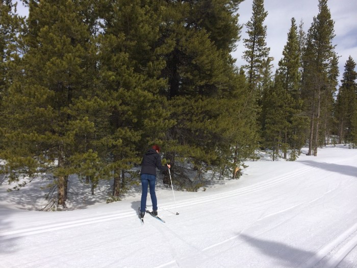 She didn't hit the trees...in case you were wondering.