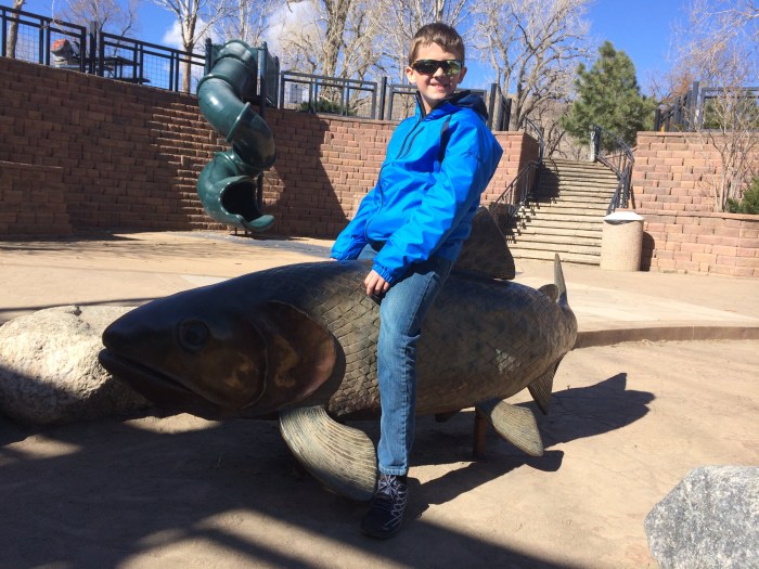 Charlie's daredevil, fish-statue riding by Clear Creek in Golden