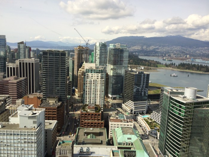 View from the Lookout Tower