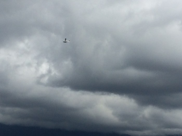 We saw two planes like this land on the water while we were at the revolving restaurant the other day.