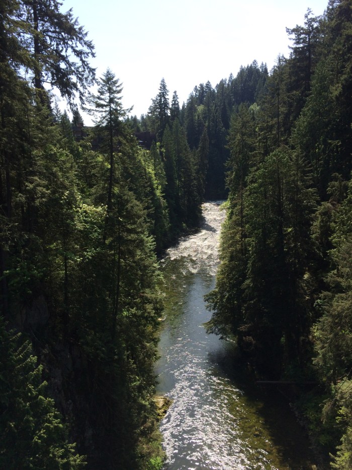 The Capilano River