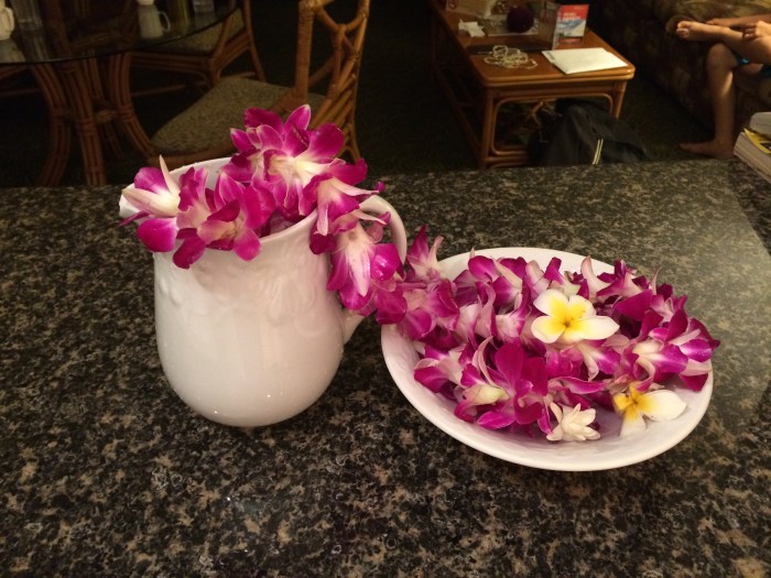 The orchid leis were too pretty to throw away, so Laurel found a way to preserve and display them in our condo.