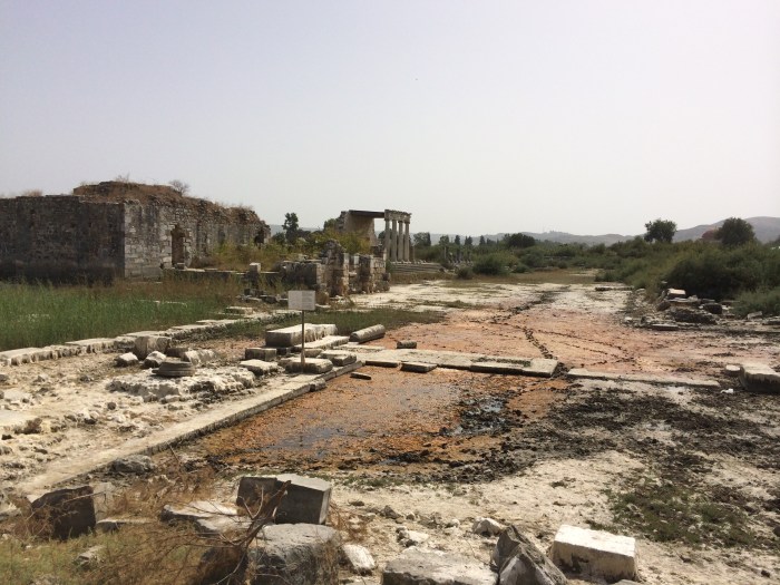 Another Temple to Athena is visible in this photo from Miletus where the ruins cannot be unearthed so quickly as the earth keeps claiming them again.  This area is now swampy much of the year (Note the orange-brown muck.) thus making excavation of further ruins difficult.